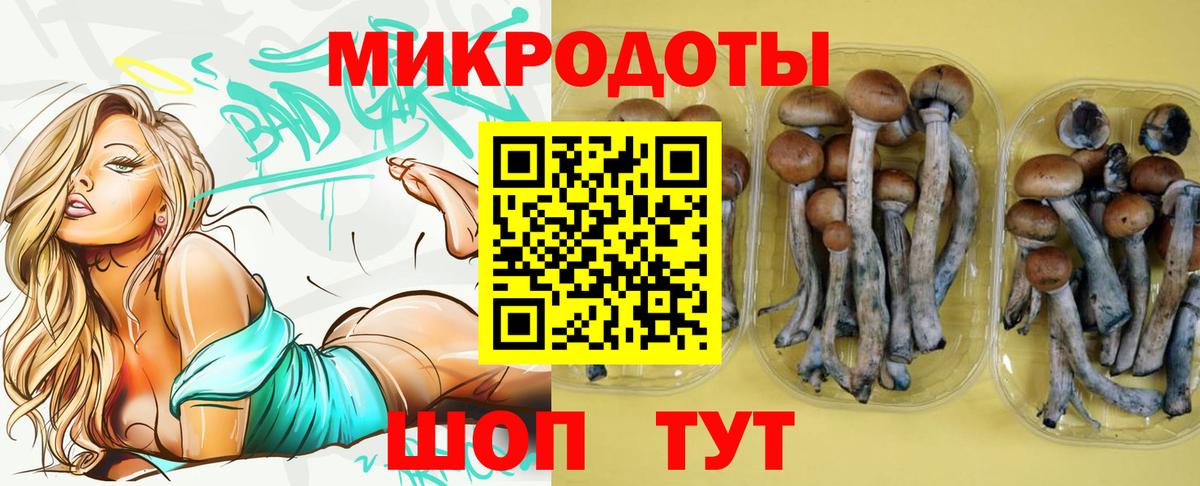 Галлюциногенные грибы Psilocybine cubensis  Вход с VPN  Балашиха 